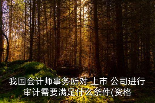 我國會計(jì)師事務(wù)所對 上市 公司進(jìn)行審計(jì)需要滿足什么條件(資格
