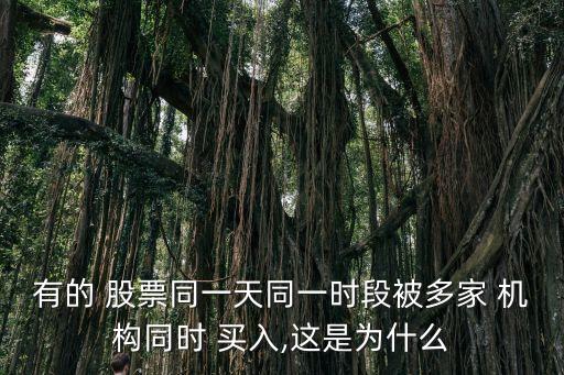 有的 股票同一天同一時段被多家 機構(gòu)同時 買入,這是為什么