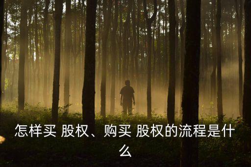 怎樣買 股權(quán)、購買 股權(quán)的流程是什么