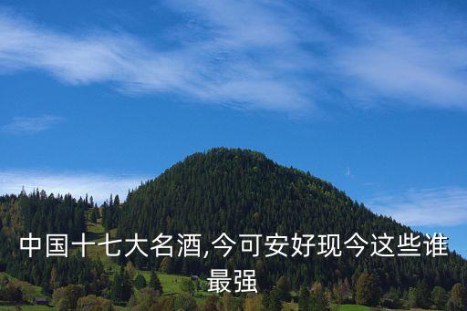 中國十七大名酒,今可安好現(xiàn)今這些誰最強
