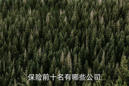 中國上市的保險(xiǎn)公司,中國幾大保險(xiǎn)公司排名名單