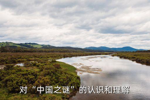 對“中國之謎”的認(rèn)識和理解