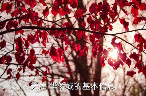 華僑城水電公司賬號(hào),掌上華僑城賬號(hào)怎么獲取