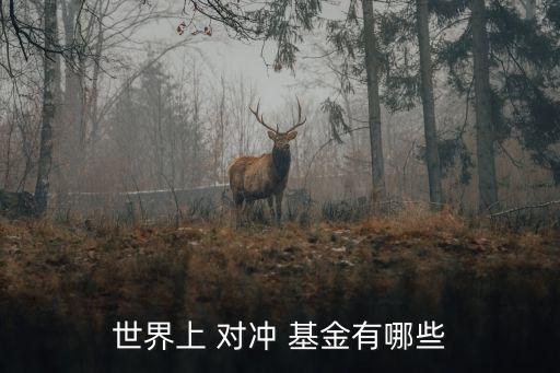 國內(nèi)對(duì)沖基金機(jī)構(gòu),國內(nèi)十大對(duì)沖基金排名
