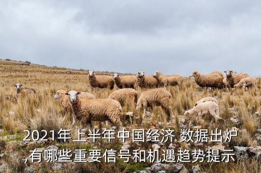 中國發(fā)展數據,中國十年的發(fā)展數據圖