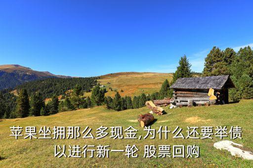 蘋(píng)果坐擁那么多現(xiàn)金,為什么還要舉債以進(jìn)行新一輪 股票回購(gòu)