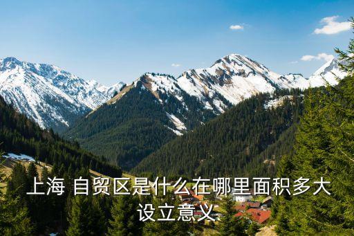  上海 自貿區(qū)是什么在哪里面積多大設立意義