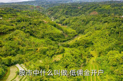 股市中什么叫做 低傭金開(kāi)戶(hù)