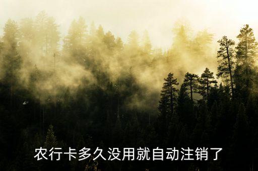 農(nóng)行卡多久沒(méi)用就自動(dòng)注銷了