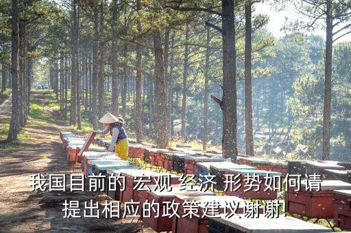 中國目前宏觀經(jīng)濟形勢,中國宏觀經(jīng)濟形勢分析與預測年度報告