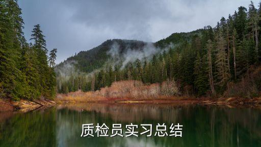 質(zhì)檢員實習(xí)總結(jié)