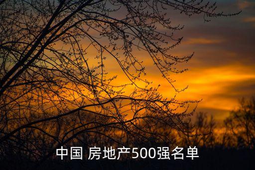 中國(guó) 房地產(chǎn)500強(qiáng)名單