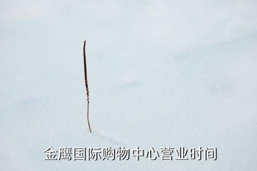  金鷹國(guó)際購物中心營(yíng)業(yè)時(shí)間