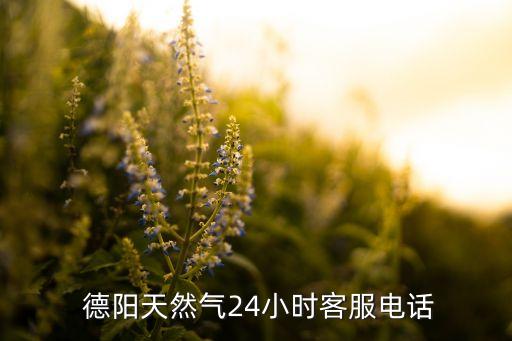  德陽(yáng)天然氣24小時(shí)客服電話(huà)