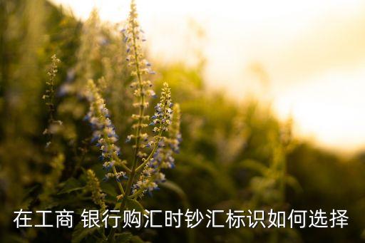 在工商 銀行購(gòu)匯時(shí)鈔匯標(biāo)識(shí)如何選擇