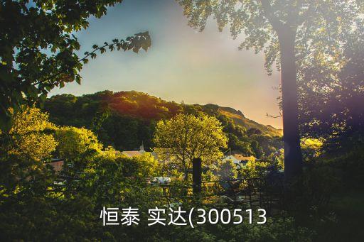  恒泰 實達(300513