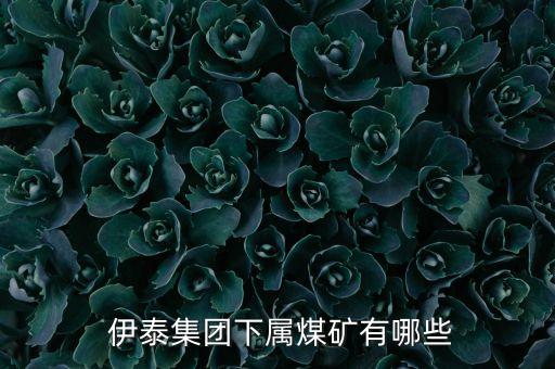 內(nèi)蒙古伊泰投資有限責(zé)任公司