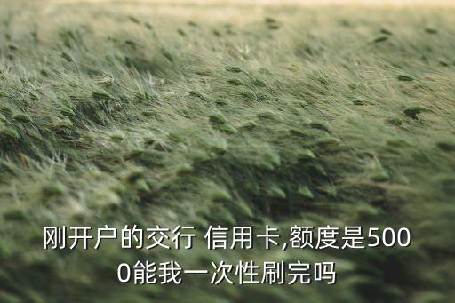 剛開(kāi)戶的交行 信用卡,額度是5000能我一次性刷完嗎