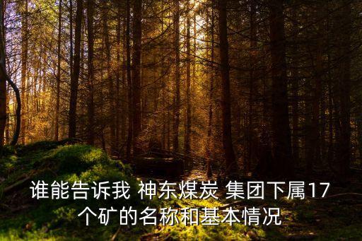 誰能告訴我 神東煤炭 集團(tuán)下屬17個礦的名稱和基本情況