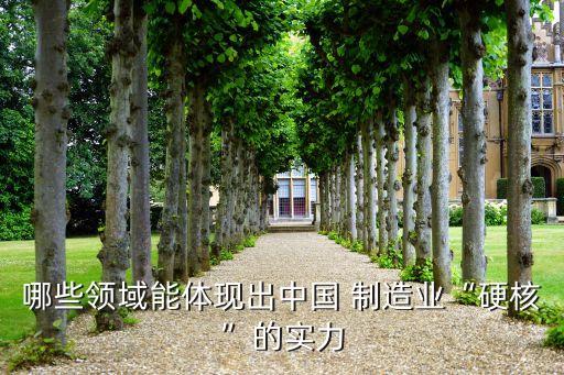 中國制造業(yè)成功的要素,無人機制造業(yè)成功的要素