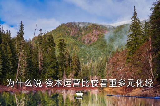 為什么說 資本運(yùn)營比較看重多元化經(jīng)營