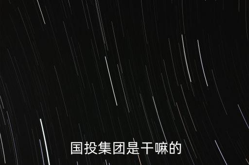 國(guó)投集團(tuán)是干嘛的