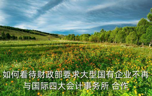 如何看待財(cái)政部要求大型國(guó)有企業(yè)不再與國(guó)際四大會(huì)計(jì)事務(wù)所 合作