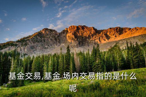基金交易,基金 場內(nèi)交易指的是什么呢