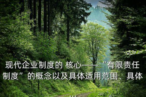 現(xiàn)代企業(yè)制度的 核心——“有限責任制度”的概念以及具體適用范圍、具體...