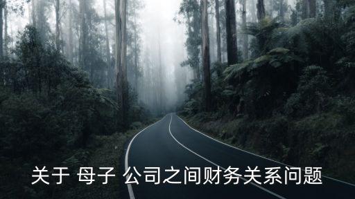 關于 母子 公司之間財務關系問題