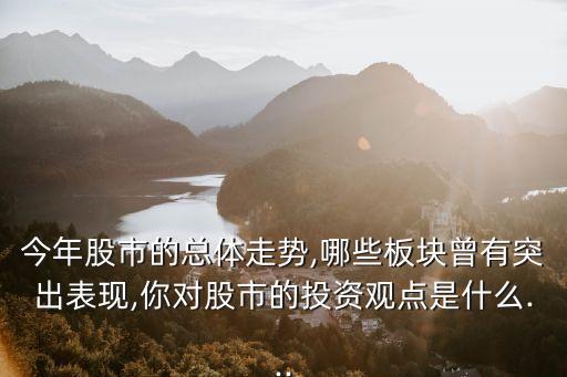 今年股市的總體走勢,哪些板塊曾有突出表現(xiàn),你對股市的投資觀點是什么...