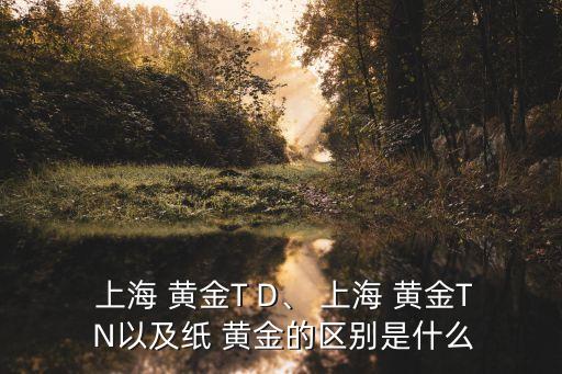  上海 黃金T D、 上海 黃金T N以及紙 黃金的區(qū)別是什么