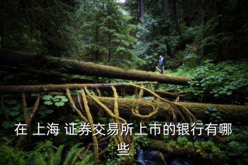 上海自貿(mào)區(qū)證券公司,上海國(guó)泰君安證券公司地址