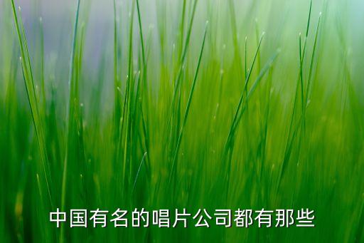 北京點睛傳媒,點睛文化傳媒公司