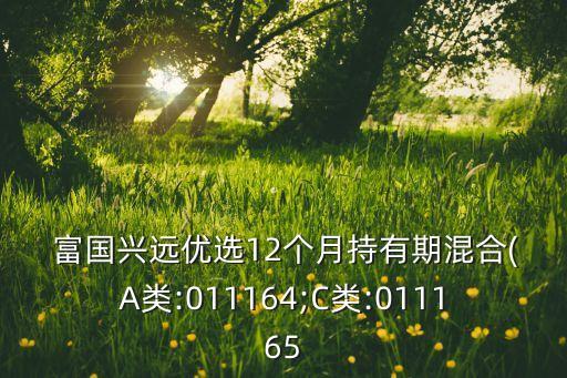  富國興遠(yuǎn)優(yōu)選12個(gè)月持有期混合(A類:011164;C類:011165