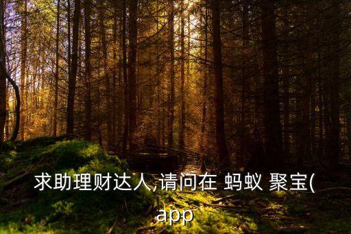 求助理財(cái)達(dá)人,請問在 螞蟻 聚寶(app