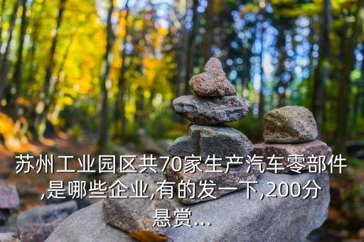 蘇州工業(yè)園區(qū)共70家生產(chǎn)汽車(chē)零部件,是哪些企業(yè),有的發(fā)一下,200分懸賞...