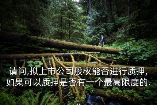 請問,擬上市公司股權(quán)能否進行質(zhì)押,如果可以質(zhì)押是否有一個最高限度的...