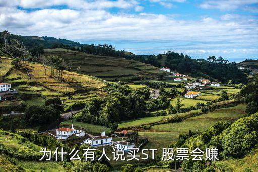 萬好萬家股票專家點評,專家點評天地科技這個股票