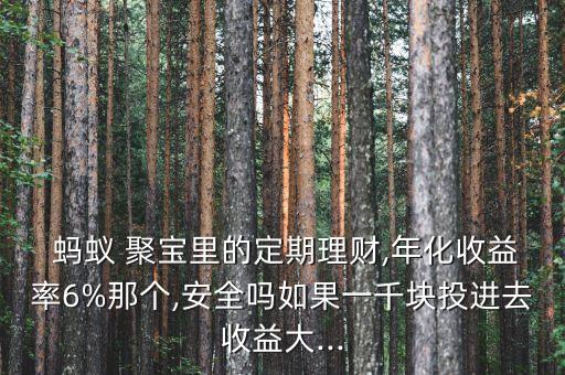  螞蟻 聚寶里的定期理財(cái),年化收益率6%那個,安全嗎如果一千塊投進(jìn)去收益大...
