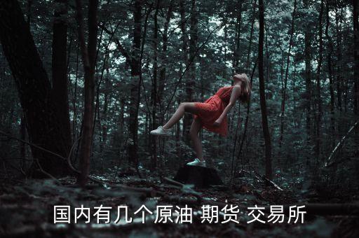國(guó)內(nèi)有幾個(gè)原油 期貨 交易所