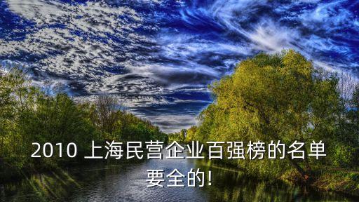 2010 上海民營企業(yè)百強榜的名單要全的!
