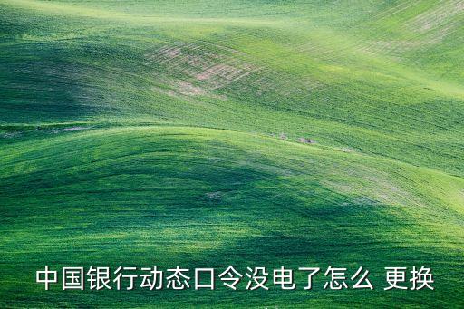 中國銀行網(wǎng)銀e令到期如何更換