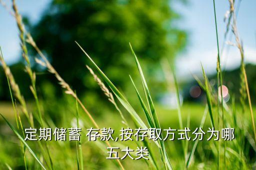 定期儲(chǔ)蓄 存款,按存取方式分為哪五大類(lèi)