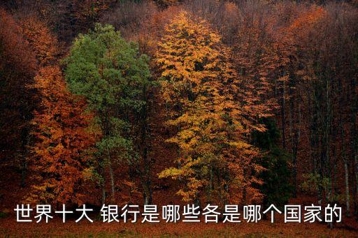 世界十大 銀行是哪些各是哪個(gè)國(guó)家的