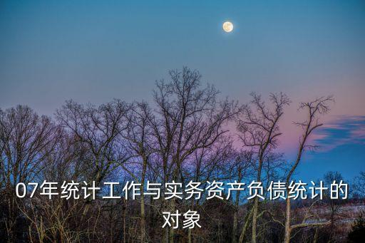 07年統(tǒng)計(jì)工作與實(shí)務(wù)資產(chǎn)負(fù)債統(tǒng)計(jì)的對象