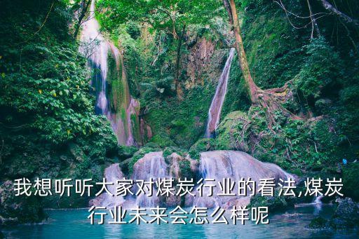 我想聽聽大家對煤炭行業(yè)的看法,煤炭行業(yè)未來會怎么樣呢
