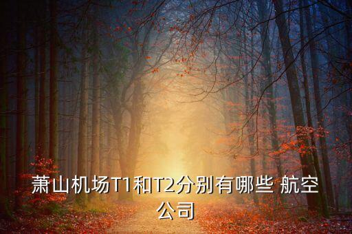 蕭山機(jī)場(chǎng)T1和T2分別有哪些 航空公司