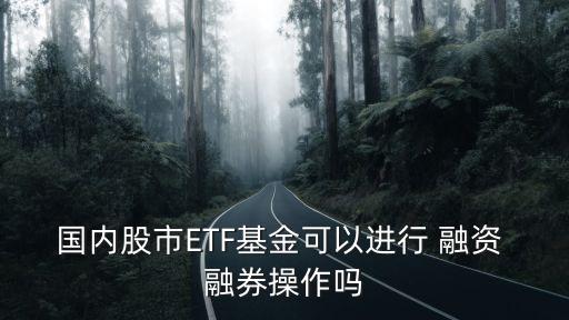 國內(nèi)股市ETF基金可以進行 融資 融券操作嗎