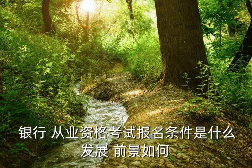  銀行 從業(yè)資格考試報(bào)名條件是什么發(fā)展 前景如何